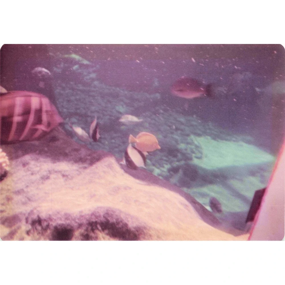 Vintage 1970s Hawaii Sea Turtle Boathouse Tour Lot of 8 Photos 3.5x5 - Picture 5 of 8